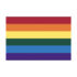Pride Flag (Rainbow Flag) - Indoor Poly, 24" X 36"