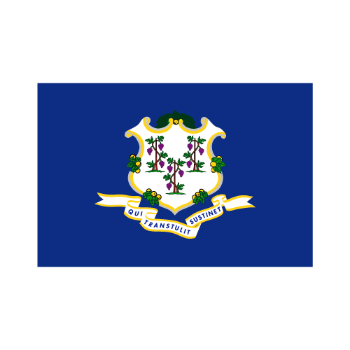 Connecticut State Flag