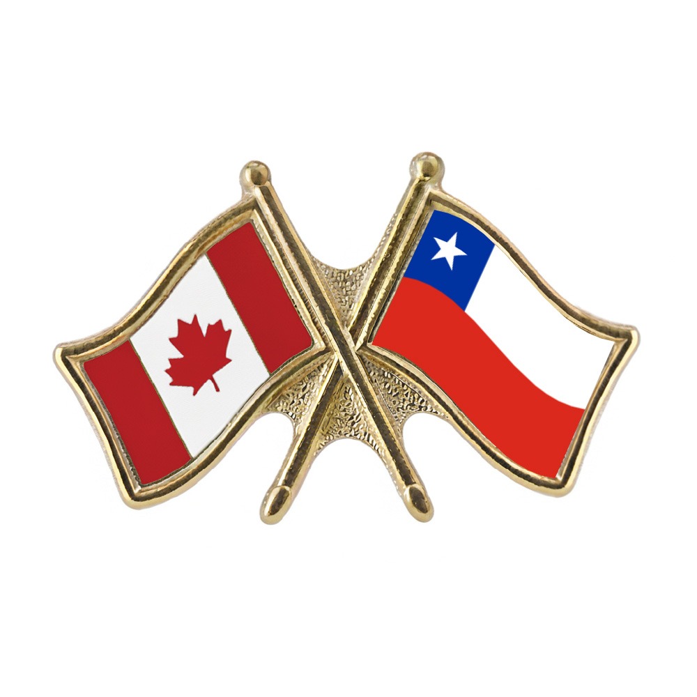 The Flag Shop | Mexico Car Hoods