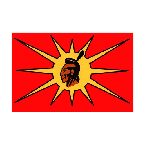 Mohawk Warrior / Oka Flag