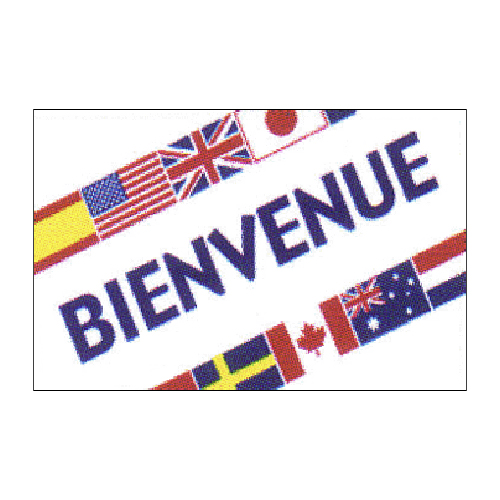 Bienvenue International Flag