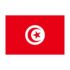 Tunisia Flags - Indoor Poly, 36" X 60"
