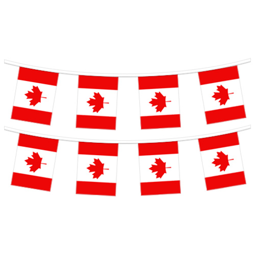 The Flag Shop | Pennant Strings