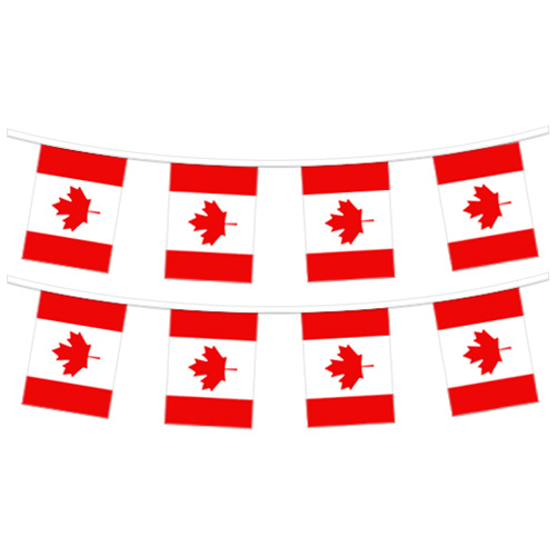 The Flag Shop | Pennant Strings