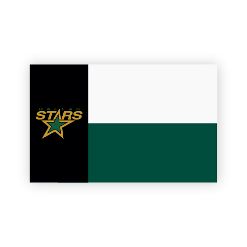 Dallas Stars Flag