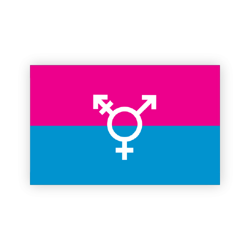 Canada Transgender Flag