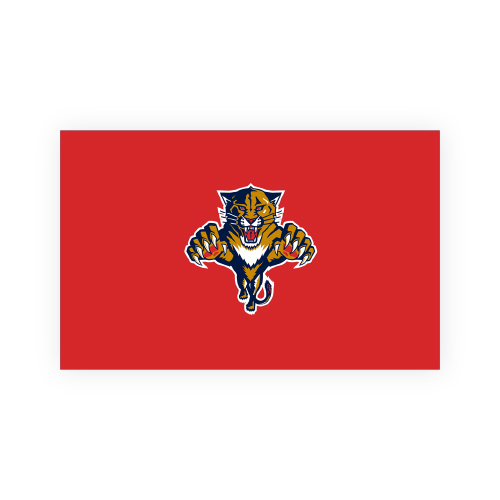 Florida Panthers Flag