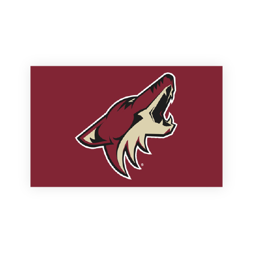 Arizona Coyotes Flag