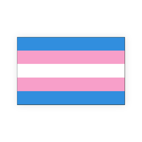 Transgender Flags