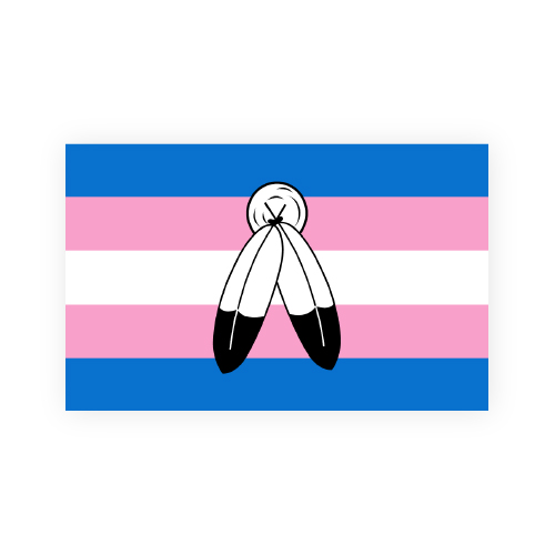 Two Spirit Transgender Flag