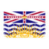 British Columbia Indigenous Flag