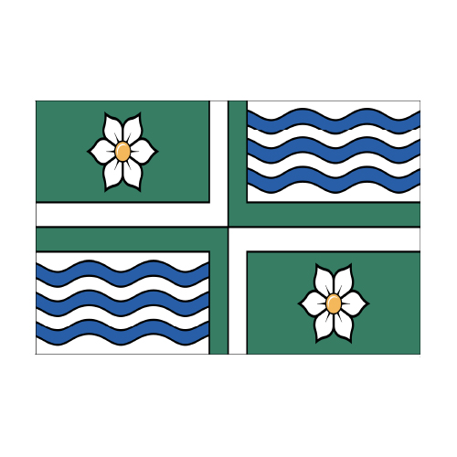 Township of Langley Flag
