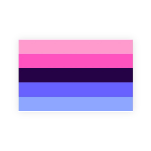 Omnisexual Flags &ndash; New!