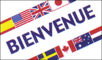 International Bienvenue Flag | Advertising & Message Flags