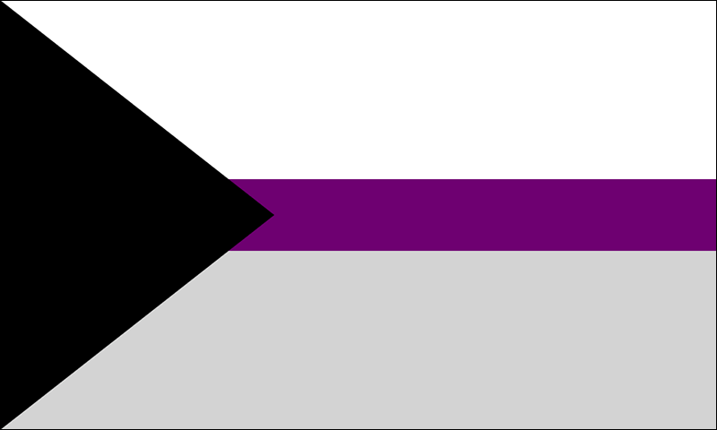 Demisexual Pride Flag - The Flag Shop