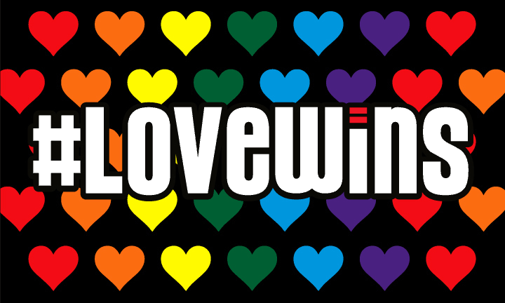 Love Wins Flag - The Flag Shop