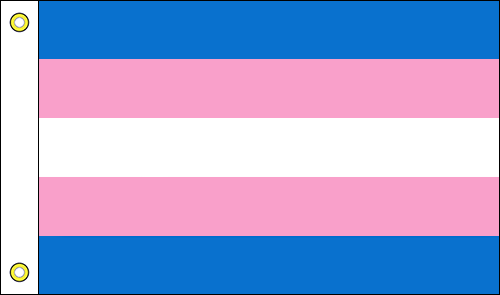 Transgender Flags - Boat Flags | The Flag Shop