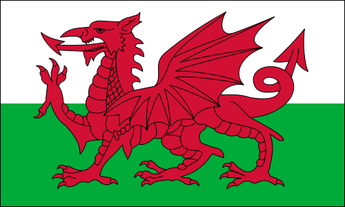 UK Wales Flag | The Flag Shop