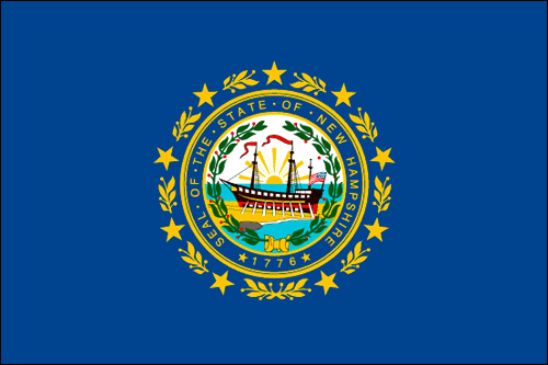New Hampshire State Flag