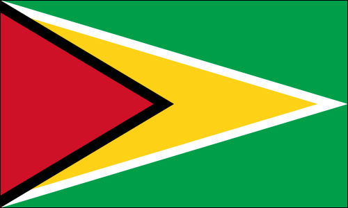 Flag of Guyana | The Flag Shop