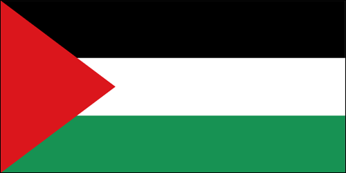Palestine Flag | Palestinian Flag