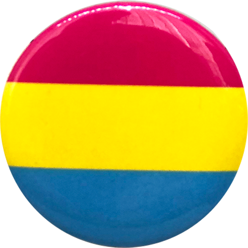 Pansexual Flag Pride Pin Button - The Flag Shop