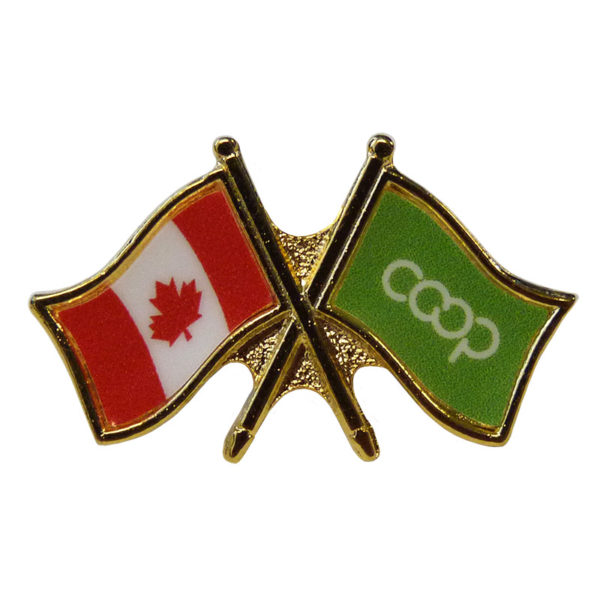 Buy Canada/Co-op Crossed Pin, Lime | The Flag Shop | Made in Canada!