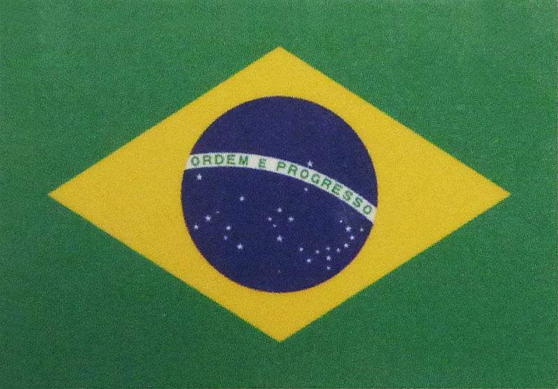 Brazil Flag Tattoos | Flag of Brazil Tattoos