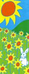 The Flag Shop | Banner Designs