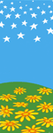 The Flag Shop | Banner Designs