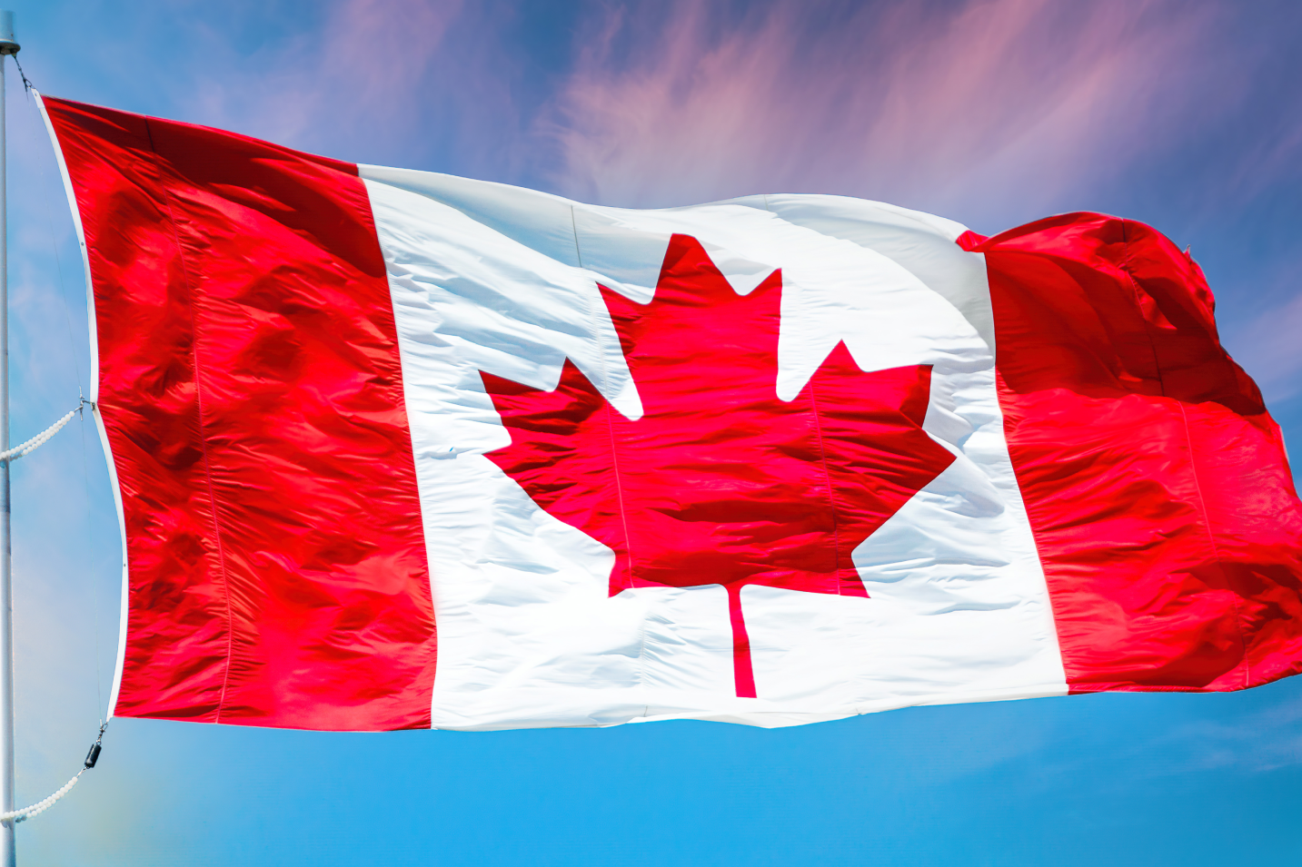 The Flag Shop | Flag Protocol