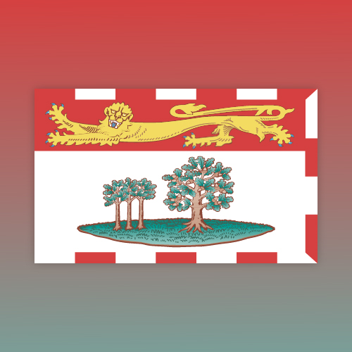 Custom Flags Online