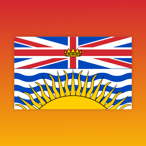 custom printed flags