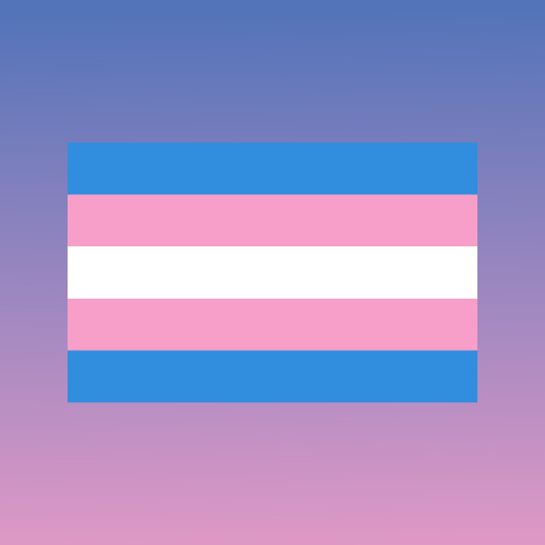 Transgender Flags