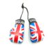 England Boxing Gloves