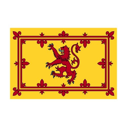 The Flag Shop | St. Patrick’s Cross Flags