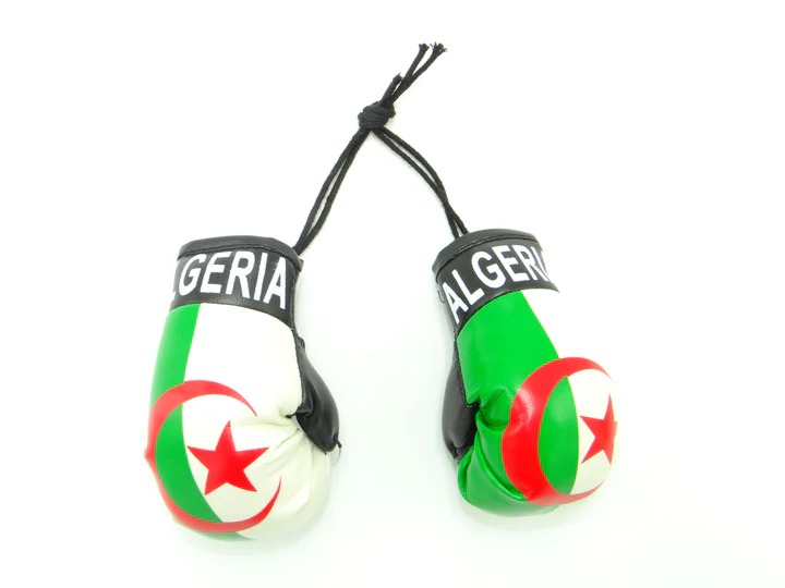 The Flag Shop | Sporting Club of Portugal Boxing Gloves