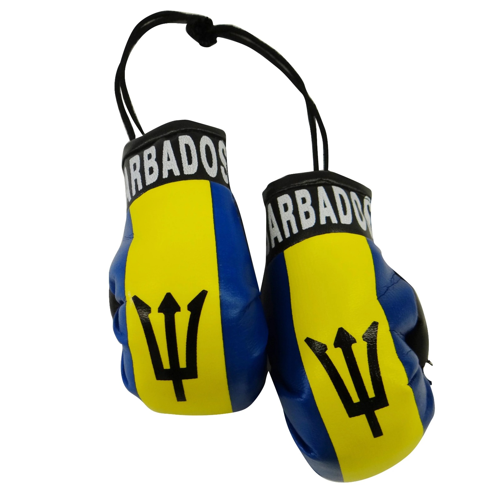 The Flag Shop | Albania Boxing Gloves