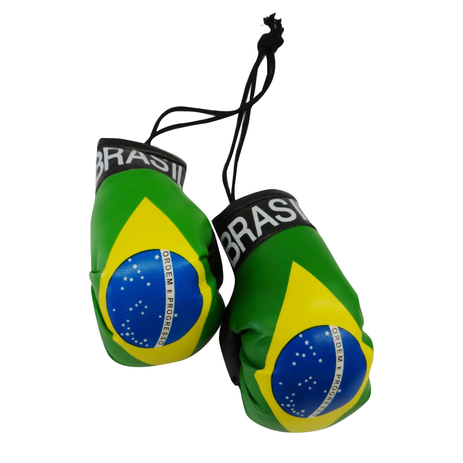 The Flag Shop | Iran Boxing Gloves