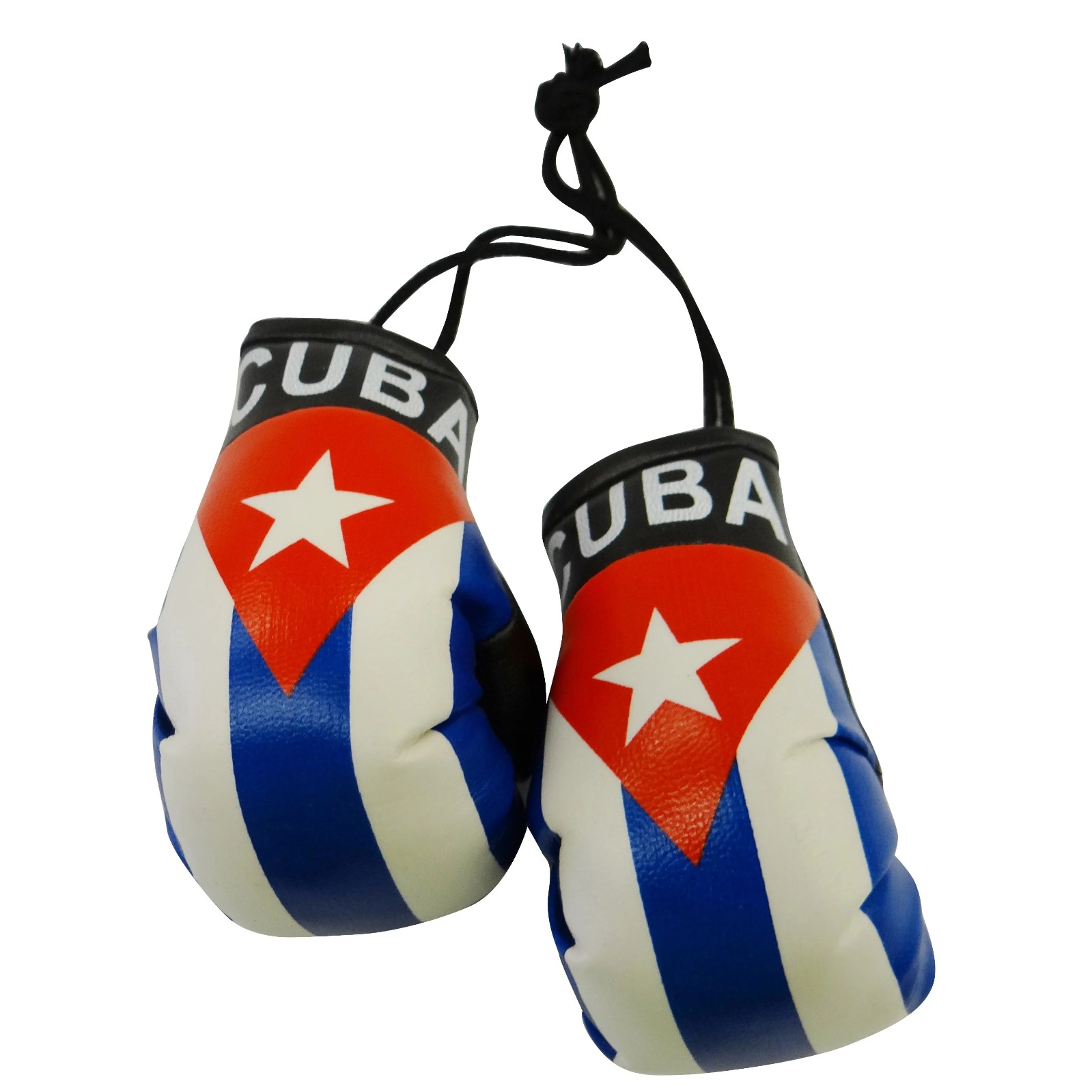 The Flag Shop | Albania Boxing Gloves