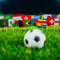 FIFA World Cup Flags for Your Event or Business