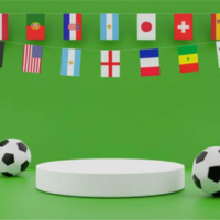 FIFA World Cup Flags