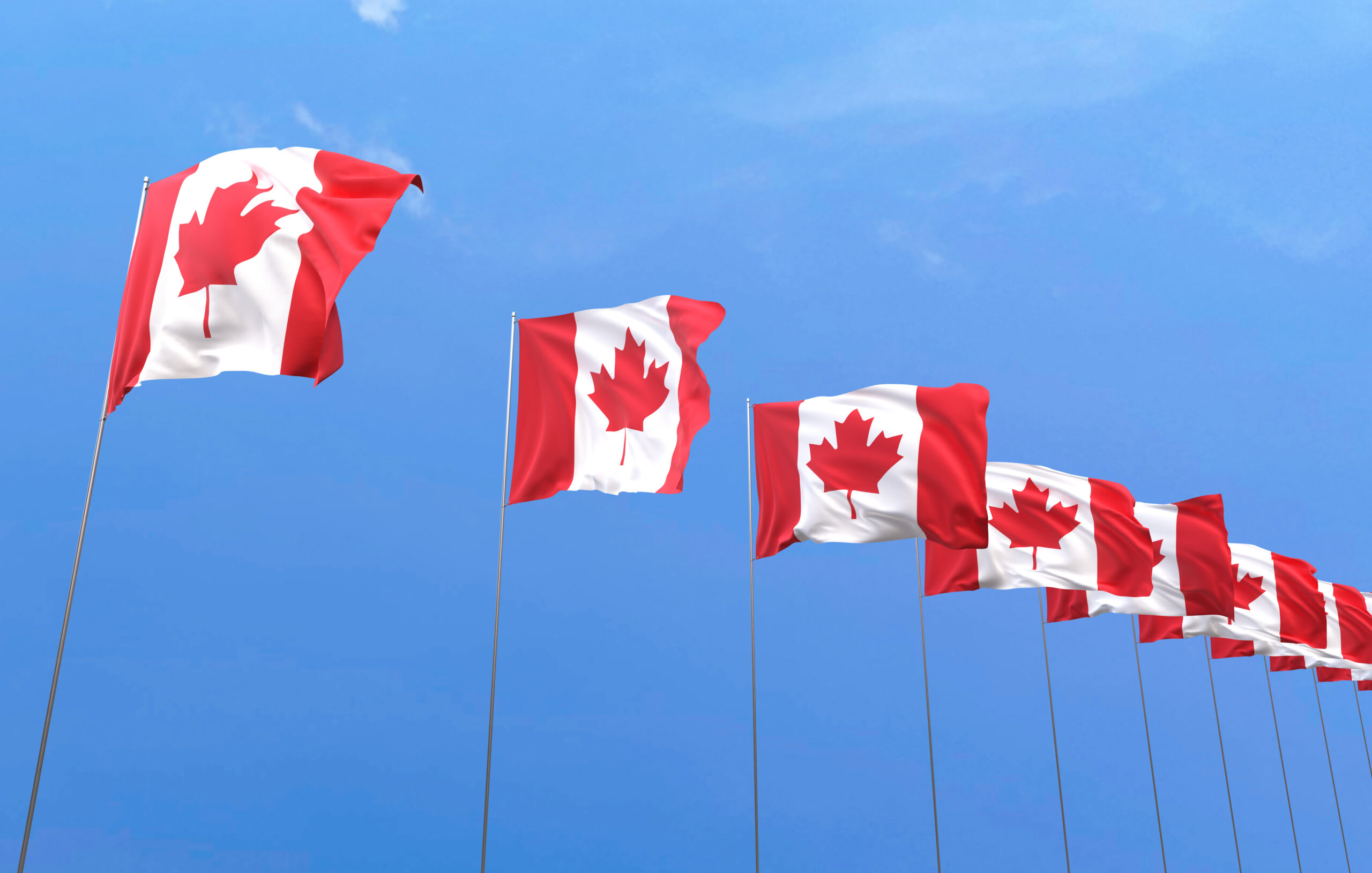 Canadian Provincial and Territory Flags Canadian Provincial and Territory Flags