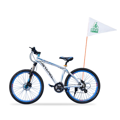 The Flag Shop | Custom Windsock Flag