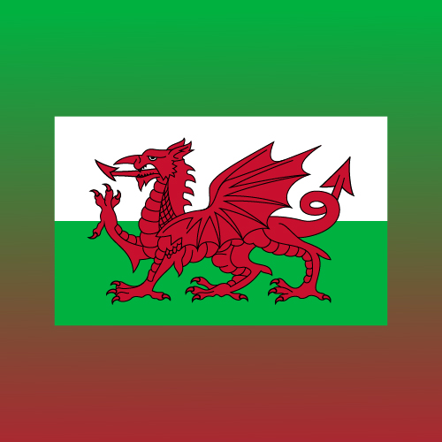 LondonFlagShop-WorldFlags-CategoryPictures-AM-500×500-AM-11-DEC-2025-Wales-22380