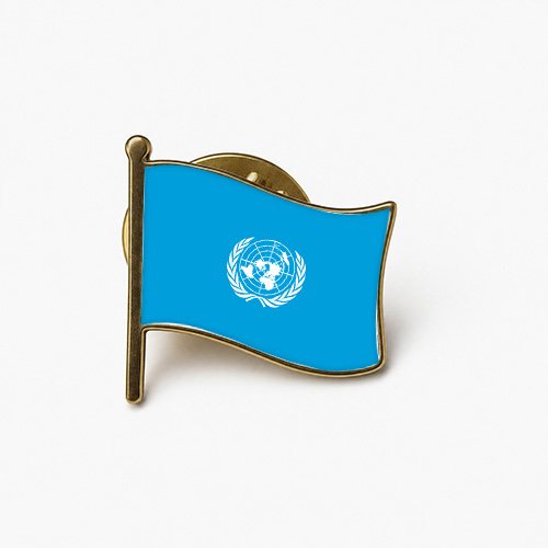 united nations waving flag pin